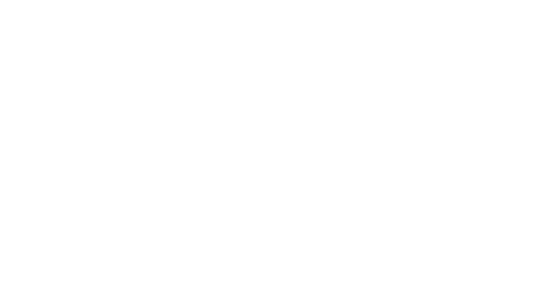Rizz